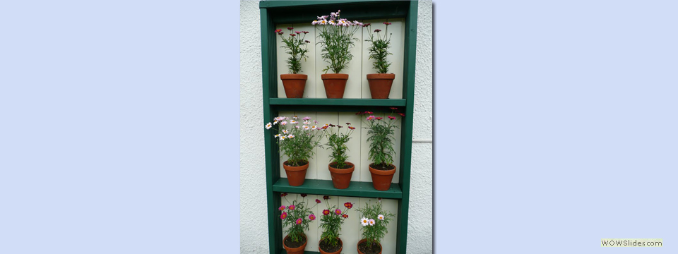 Garden Open Day 011