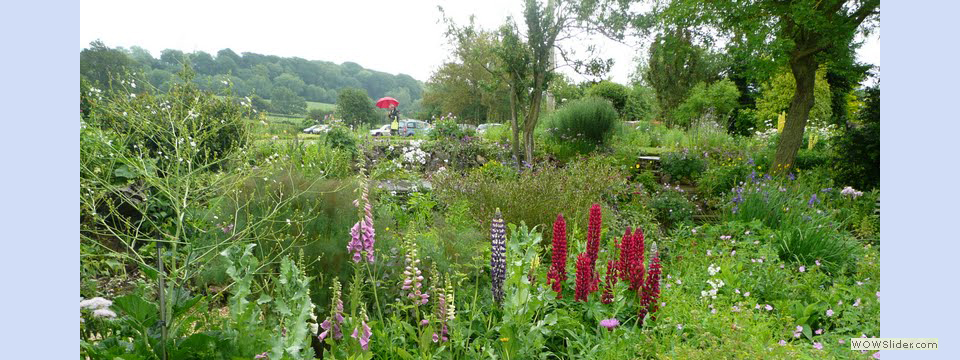 garden_open_day_compton_bassett_013