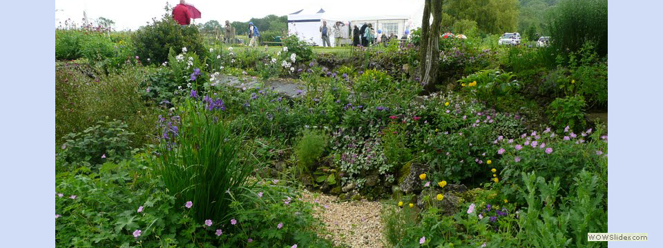 garden_open_day_compton_bassett_014