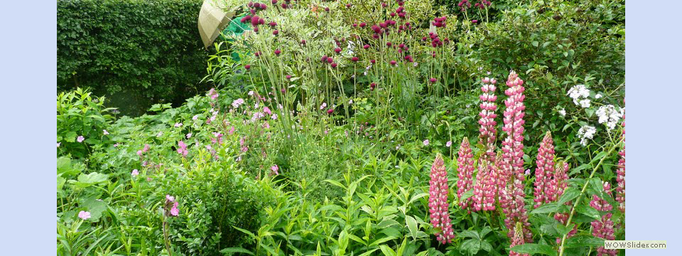 garden_open_day_compton_bassett_015