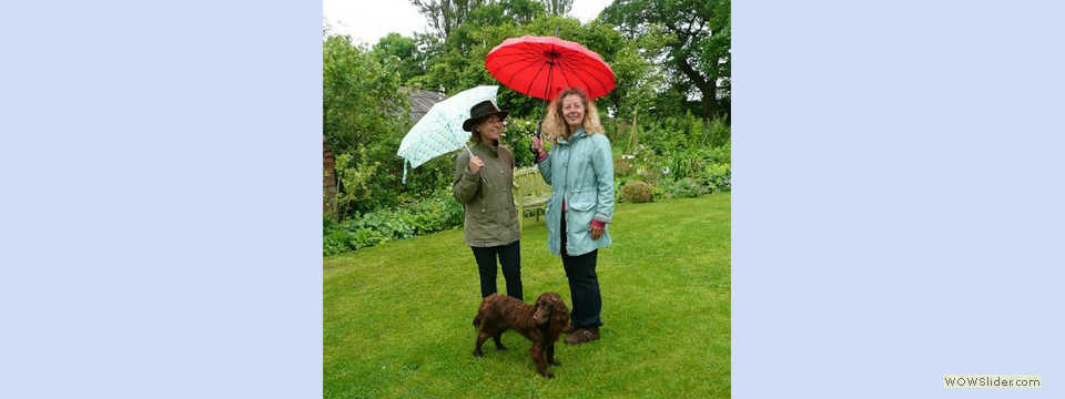 garden_open_day_compton_bassett_018