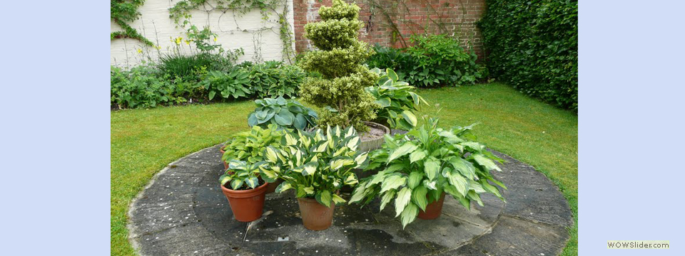 garden_open_day_compton_bassett_038
