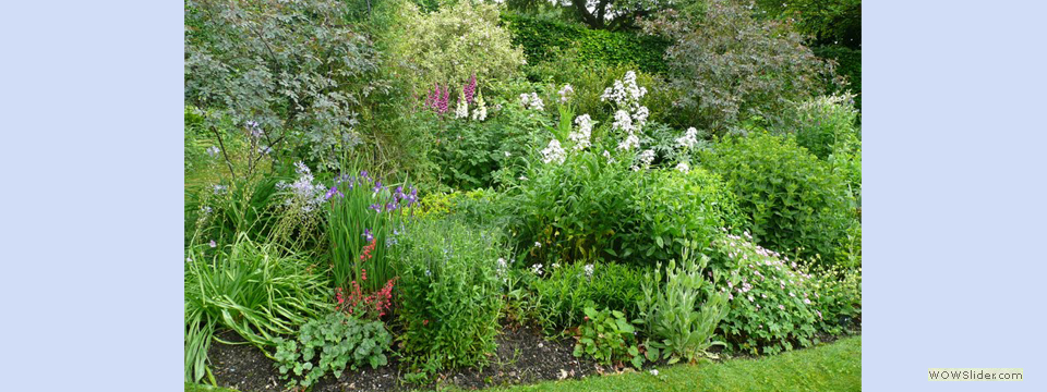 garden_open_day_compton_bassett_042