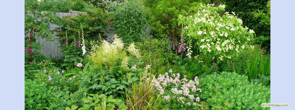 garden_open_day_compton_bassett_045