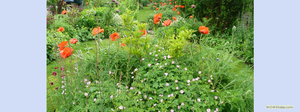 garden_open_day_compton_bassett_047