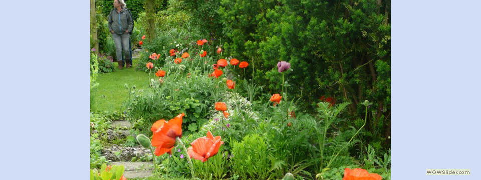 garden_open_day_compton_bassett_048