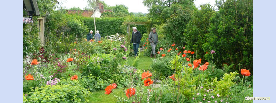 garden_open_day_compton_bassett_049
