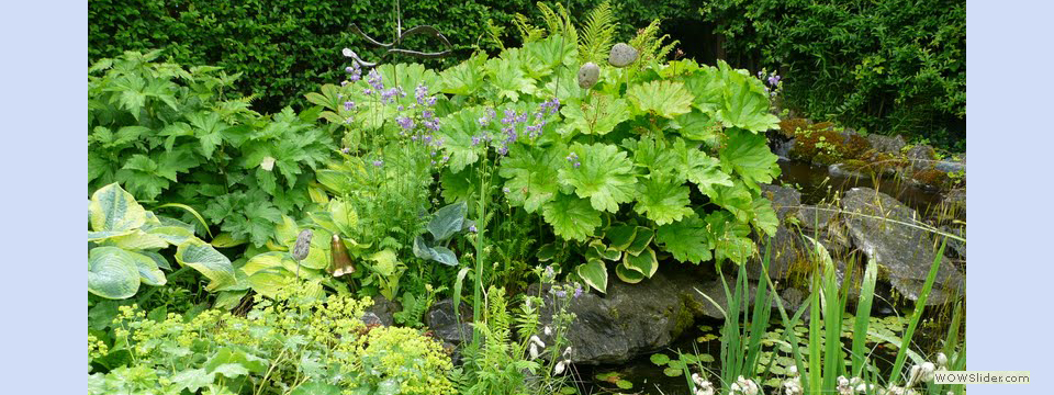 garden_open_day_compton_bassett_060