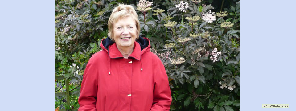 garden_open_day_compton_bassett_061