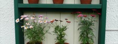 garden_open_day_compton_bassett_011