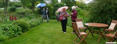 garden_open_day_compton_bassett_012