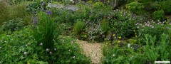 garden_open_day_compton_bassett_014