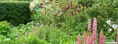 garden_open_day_compton_bassett_015