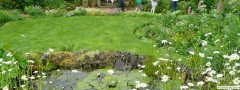 garden_open_day_compton_bassett_016
