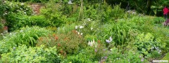 garden_open_day_compton_bassett_019