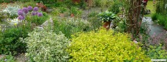 garden_open_day_compton_bassett_022