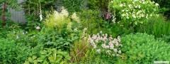 garden_open_day_compton_bassett_045