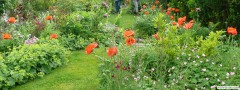 garden_open_day_compton_bassett_049