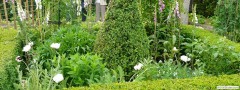 garden_open_day_compton_bassett_052