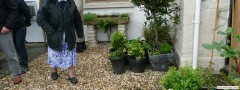 garden_open_day_compton_bassett_054
