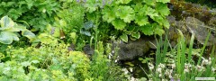 garden_open_day_compton_bassett_060