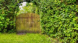 garden gate