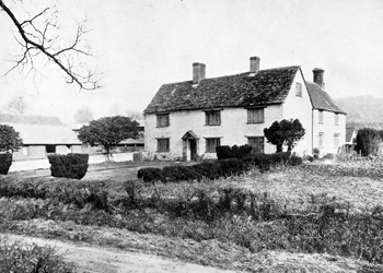 Street Farm